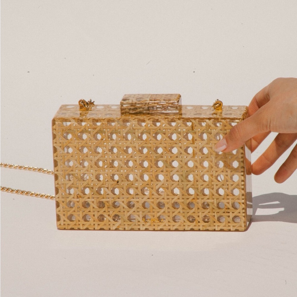 Ramal Asilah bag Crossbody Clutch Box Style Purse New in Box MSRP $240